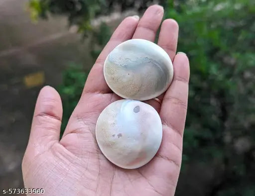 3 Pcs Moti Shankh For Wealth,Prosperity, Rare & Original to Please Goddess  attracting Prosperity peace , positive energy & 3 Pcs Raja Gomti Chakra for  Healing, Health, Wealth Big Shell