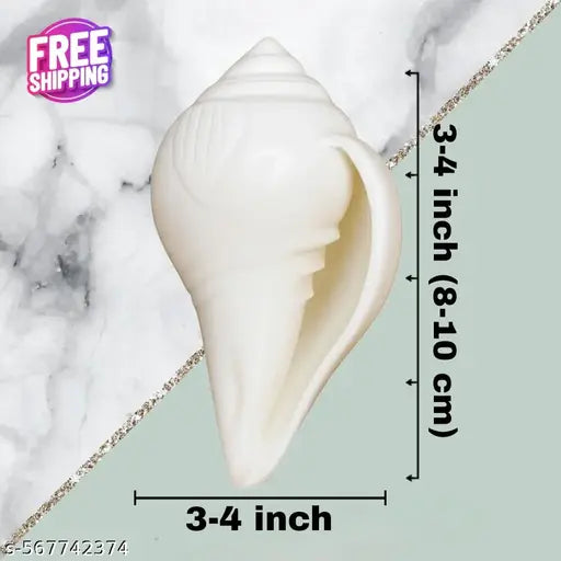 "Original Jal Shankh for Pooja | Blowing Conch Shell for Abhishekam & Vastu Use – 3 to 4 Inch"