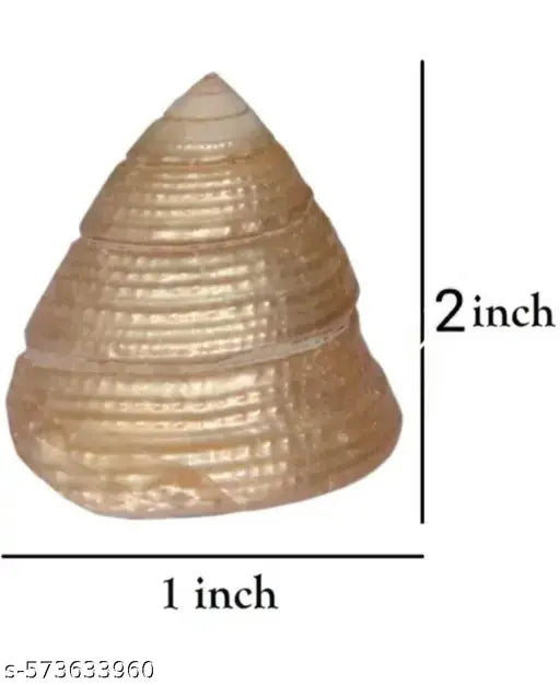 3 Pcs Moti Shankh For Wealth,Prosperity, Rare & Original to Please Goddess  attracting Prosperity peace , positive energy & 3 Pcs Raja Gomti Chakra for  Healing, Health, Wealth Big Shell