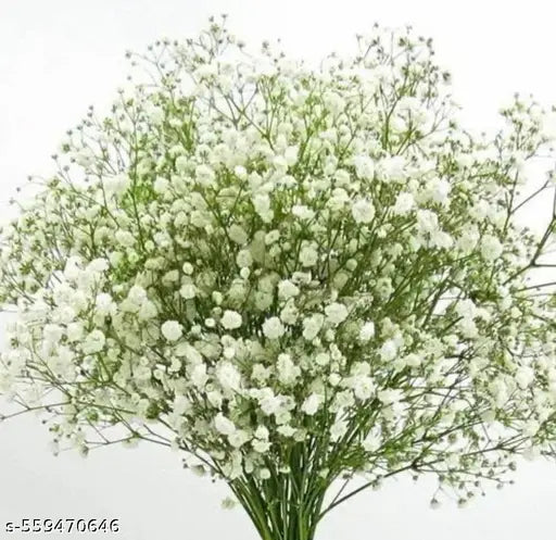 NN Globe Artificial White Wild Flower Artificial Flower (21 inch, Pack of 3,Flower Bunch)