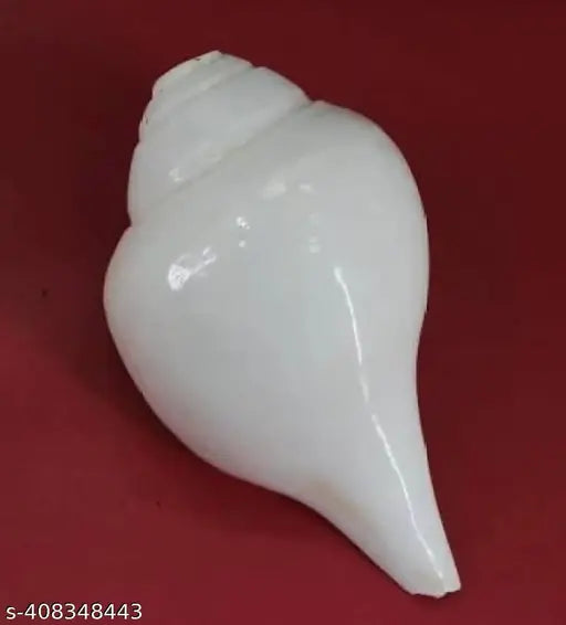 Natural Blowing rameswaram Shank bajane wala Shank 6 INCH