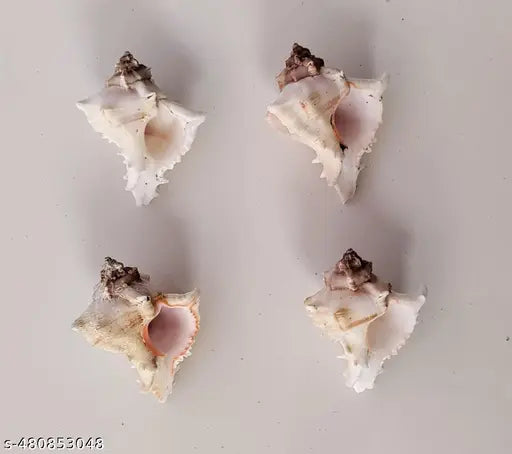 Shell decorative item showpiece