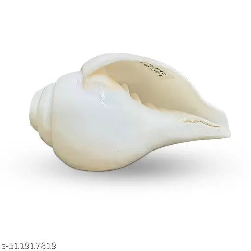 Conch Blowing Artificial Sankh Loud Blowing Shankha for Pooja, Mandir, Aarti Shankh-Set of 1 Piece