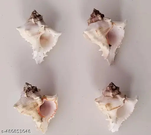 Shell decorative item showpiece