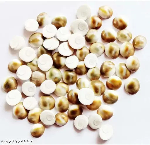 Urmila Traders  Gomati Chakra for Pooja  Pack of 108 piece.