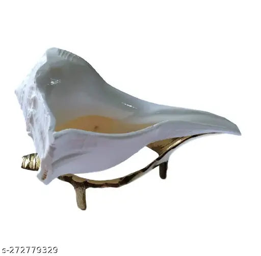 Dakshinavarti Shankh Original with Stand 5 inch  Natural Lakshmi Valampuri Sangu for Pooja Pure White