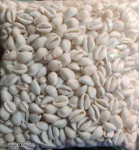 Pack or 21 Bihari ji white kodi Natural pure white kodi Lakshmi poojan and other use