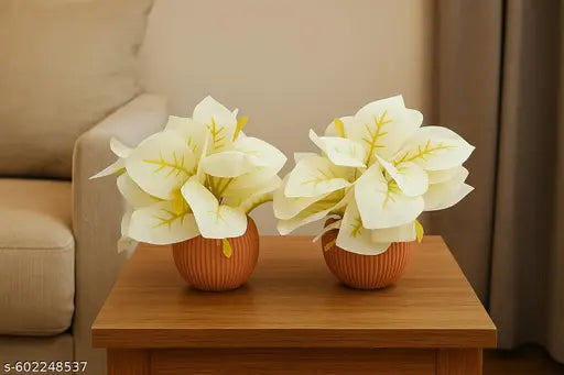 Compact WHITE Leaf Plant for Home & Office Decor