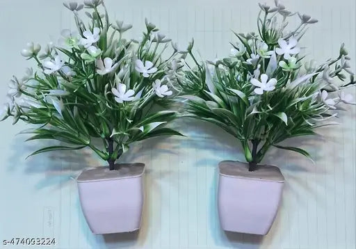 white grass with lily square The Timeless Elegance of the Lily Flower